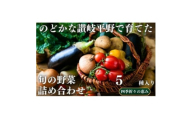 のどかな讃岐平野で育てた 旬の野菜 詰め合わせセット5種【1610457】