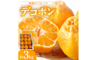季節のフルーツ「デコポン」約3kg＜令和8年2～3月発送＞【1612339】