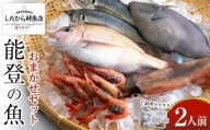 【8月29日お届け】【復興支援】調理ラクラク！能登の魚おまかせセット（2人前）