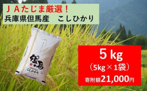 【 先行予約 】 JAたじま厳選！ 兵庫県但馬産こしひかり 5kg（5kg×1袋）兵庫県北部産こしひかり 米食味ランキング特Ａ獲得 兵庫県地域資源認定 兵庫県産特Ａ米 2169563 - 兵庫県朝来市