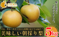 白岡　細田果樹園　味と品質こだわりの梨　5kg　【11246-0281】