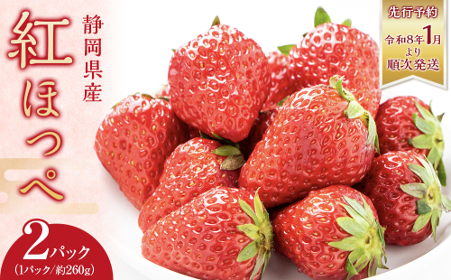 ◆先行予約　令和8年1月より順次発送◆静岡県産紅ほっぺ（約260g×2パック）JA遠州夢咲 2169574 - 静岡県御前崎市