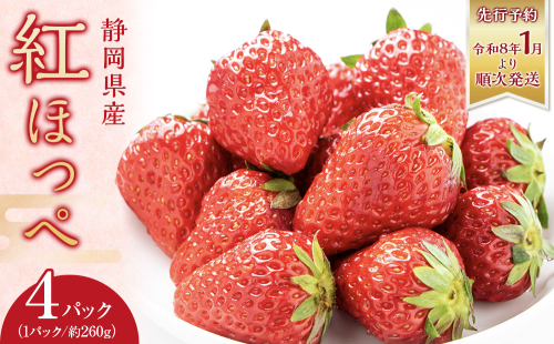 ◆先行予約　令和8年1月より順次発送◆静岡県産紅ほっぺ（約260g×4パック）JA遠州夢咲 2169575 - 静岡県御前崎市