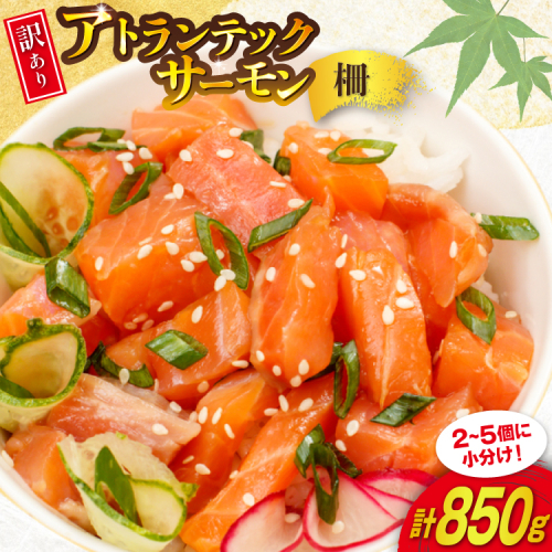 訳あり ノルウェー産 アトランティック サーモン 尾っぽ 850g 柵 おさしみ用 無添加 個包装 [足利本店 宮城県 気仙沼市 20565613] 鮭 さけ サケ サーモン 生食用 おつまみ おかず 冷凍 鮮魚 小分け アトランティックサーモン アトランサーモン 2169580 - 宮城県気仙沼市