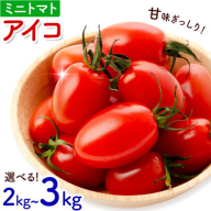 ミニトマト アイコ 約2kg 約3kg ますだふぁーむ《7月上旬-11月末頃出荷》熊本県 南阿蘇村 アイコトマト 野菜 旬 夏野菜 トマト