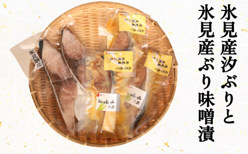 氷見産汐ぶりと氷見産ぶり味噌漬のセット 富山県 氷見市 鰤 ブリ 惣菜 切り身 冷凍 2169846 - 富山県氷見市
