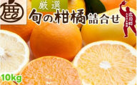 柑橘 詰合せ 10kg+250g（痛み補償分） 厳選 光センサー / 高級 みかん 不知火 清見 八朔 伊予間 セミノール レモン ３種類以上 詰め合わせ 晩柑 ※1月上旬～6月上旬頃に順次発送 ※北海道・沖縄・離島への配送不可 【ikd049-p-10A】