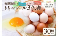 【山梨県産 卵】ミシュランも選ぶ高級卵セット（30個）