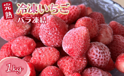 冷凍いちご 1kg バラ凍結 栽培期間中農薬不使用 ヘタ取り済み 急速低温冷凍 真空パック 2170340 - 千葉県白井市