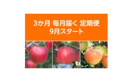 ＜発送月固定定期便＞〈2025年9月より順次発送〉青森県産りんご約3kg全3回【4068077】