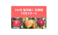 ＜発送月固定定期便＞〈2025年10月より順次発送〉甘味系・青森県産りんご約3kg全3回【4068084】