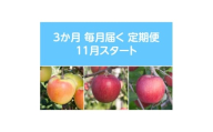 ＜発送月固定定期便＞〈2025年11月より順次発送〉甘味系・青森県産りんご約3kg全3回【4068085】