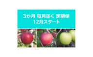 ＜発送月固定定期便＞〈2025年12月より順次発送〉甘味系・青森県産りんご約3kg全3回【4068087】