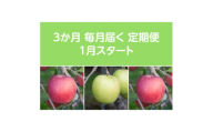 ＜発送月固定定期便＞〈2026年1月より順次発送〉甘味系・青森りんご約3kg全3回【4068094】