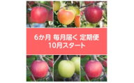 ＜発送月固定定期便＞〈2025年10月より順次発送〉甘味系・青森県産りんご約3kg全6回【4068297】