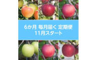 ＜発送月固定定期便＞〈2025年11月より順次発送〉青森県産りんご約3kg全6回【4068301】