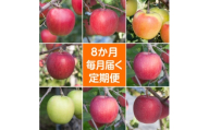 ＜発送月固定定期便＞〈2025年9月より順次発送〉青森県産りんご約3kg全8回【4068305】