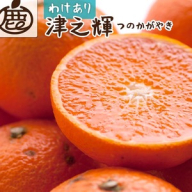 ＜2月より発送＞家庭用 津之輝10kg+250g（傷み補償分）つのかがやき｜わけあり・訳あり【光センサー選別】 ｜ 柑橘 フルーツ 果物 濃厚 春 旬 和歌山 先行予約 選べる 国産 美浜町　※北海道・沖縄・離島への配送不可 ※2026年2月上旬～4月中旬頃に順次発送予定