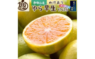 【先行予約】家庭用有田みかん サイズ混合(2S～2L) 10kg+250g  ※10月より発送(極早生) ※北海道・沖縄・離島への配送不可 / みかん 果物 フルーツ ミカン 和歌山 柑橘 早生みかん 有田みかん 有田【ikd211】
