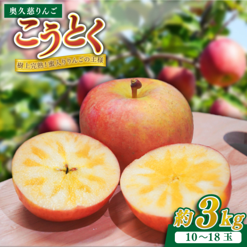 【数量限定/先行予約】樹上完熟の奥久慈りんご「こうとく」約3kg（10～18玉）【2025年10月下旬頃発送予定】斉藤りんご園第2直売所｜茨城県 大子町 林檎 果物 フルーツ 旬 プレミアム(CG014) 2170561 - 茨城県大子町