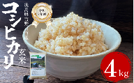 米 選べる 容量 4kg （2㎏×2袋） コシヒカリ 令和7年度産 玄米 1袋2kg 小分け 便利 お米 こめ 棚田米 白米 精米 ごはん ご飯 白飯 ゴハン 徳島県 吉野川市