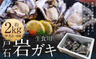 戸石岩ガキ 生食用 約2kg （中大5～6個） オイスターナイフ付き 岩牡蠣 岩ガキ 牡蠣 カキ 生食 貝 貝類 海鮮 九州 長崎県 長崎市 冷蔵