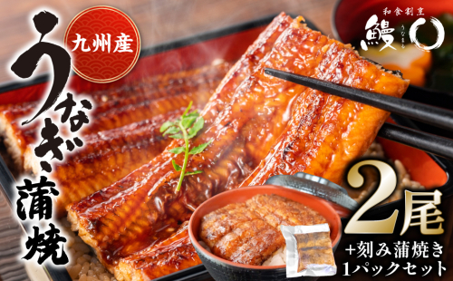 鰻丸(うなまる) 九州産 うなぎ蒲焼き2尾 ＆ 刻み蒲焼き1パックセット 鰻 ウナギ うなぎの蒲焼 2171080 - 熊本県八代市