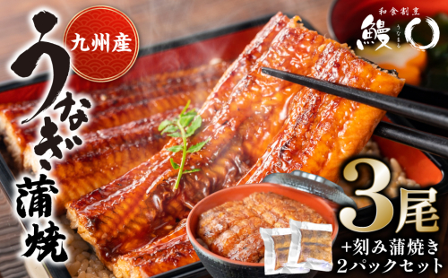 鰻丸(うなまる) 九州産 うなぎ蒲焼き3尾 ＆ 刻み蒲焼き2パックセット 鰻 ウナギ うなぎの蒲焼 2171133 - 熊本県八代市