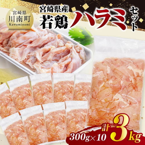 宮崎県産若鶏　ハラミ3kg（300g×10） 【 鶏肉 鶏 ハラミ 肉 宮崎県産 小分け パック 送料無料 】 2171239 - 宮崎県川南町
