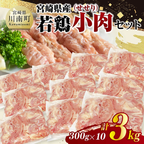宮崎県産若鶏　小肉(せせり)3kg（300g×10） 【 鶏肉 鶏 小肉 せせり 肉 宮崎県産 小分け パック 送料無料 】 2171242 - 宮崎県川南町