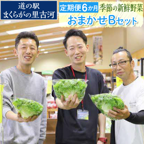 【定期便6か月】道の駅まくらがの里古河　季節の新鮮野菜おまかせBセット ※北海道・沖縄・離島への配送不可 | 野菜 詰合せ 詰め合わせ セット アソート 新鮮 道の駅 人気 ギフト 贈答 贈り物 プレゼント お中元 お歳暮 茨城県 古河市 直送 産地直送 _BQ08 2171256 - 茨城県古河市
