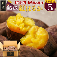先行受付!【12月お届け】【農家直送】山下農園　熟成紅はるか 5kg_LF-I701-12