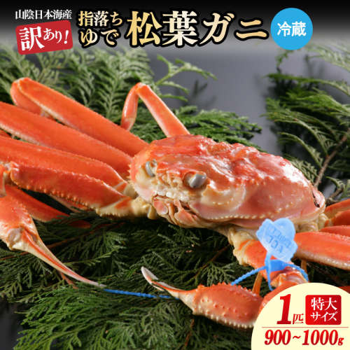 【訳あり！指落ち松葉がに】山陰沖ゆで松葉がに 900ｇ～1ｋｇ 特大サイズ（12月発送）／北畿水産　HK00249 2171353 - 京都府京丹後市