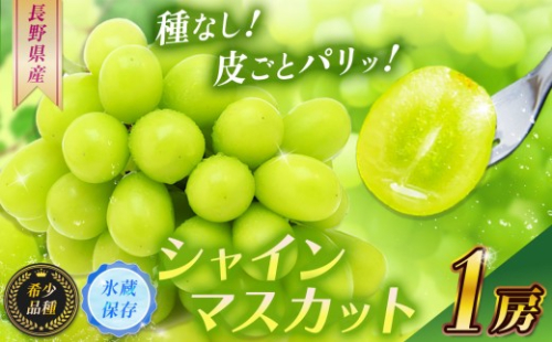 【2027年1月末まで発送してます♪♪】 【甘みが増す完熟 氷蔵保存】シャインマスカット１房【11月上旬より発送】| シャイン ぶどう 葡萄 ブドウ くだもの 果物 フルーツ マスカット 氷蔵保存 長野県 塩尻市