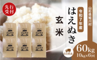 ＜令和7年産米先行受付＞ 鮭川村 はえぬき 【玄米】 60kg定期便 （10kg×6回発送）＜配送時期選べます＞