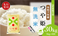 ＜令和7年産米先行受付＞ 鮭川村 特別栽培米 つや姫 【無洗米】 定期便 30kg （5kg×1ヶ月間隔で6回お届け）＜配送時期選べます＞