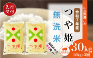 ＜令和7年産米先行受付＞ 鮭川村 特別栽培米 つや姫 【無洗米】 定期便 30kg （10kg×1ヶ月間隔で3回お届け）＜配送時期選べます＞