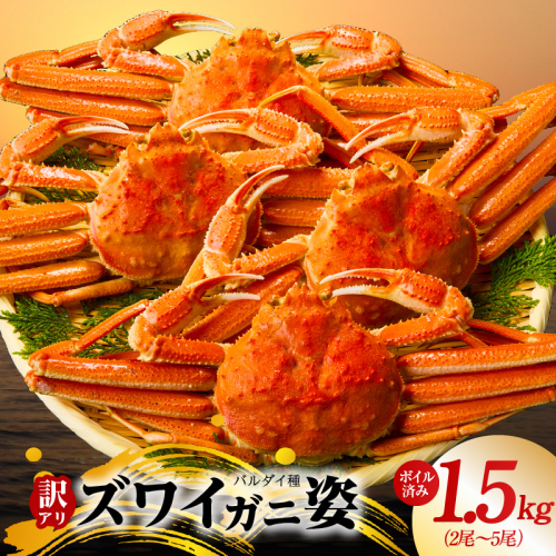 【訳あり規格】バルダイ種 ズワイガニ姿 1.5kg（2～5尾）【ボイル済み オオズワイガニ かに カニ 蟹 ズワイガニ ファミリー向け】 G2788 2171489 - 大阪府泉佐野市