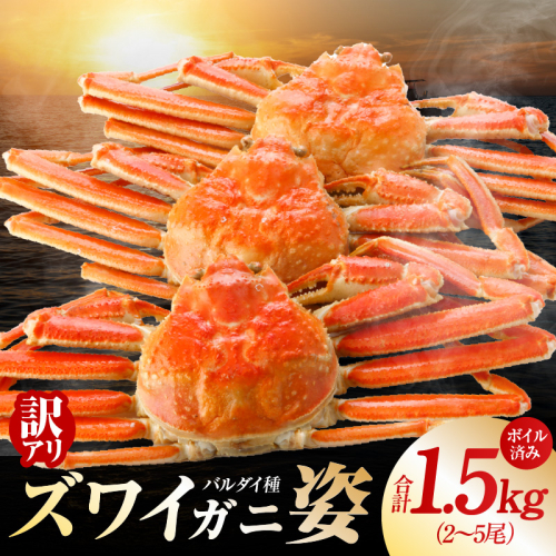 【訳あり規格】バルダイ種 ズワイガニ姿 1.5kg（2～5尾）【ボイル済み オオズワイガニ かに カニ 蟹 ズワイガニ ファミリー向け】 G2788 2171489 - 大阪府泉佐野市