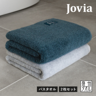 Jovia ジョヴィア バスタオル 2枚（ネイビー、アイスグレー）【日本製 泉州タオル 吸水 日用品 たおる ロングヘア】 G2853