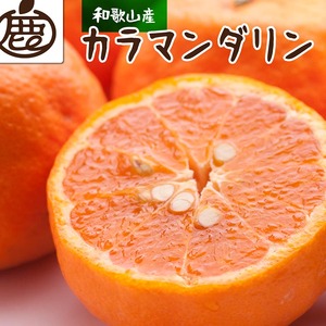 ＜4月より発送＞厳選 カラマンダリン10kg+250g（傷み補償分）◇【南津海・なつみ】【希少な春柑橘】【みかんと同じように食べられます】　※北海道・沖縄・離島への配送不可　※2026年4月上旬～5月下旬頃に順次発送予定 2171516 - 和歌山県美浜町