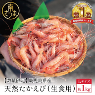 【数量限定】鹿児島県産 天然たかえび（生食用） 約1kg ［Lサイズ］ 薩摩甘エビ ヒゲナガエビ 刺身 海鮮 海老 海鮮丼 塩焼き 冷凍 丸航丸 南さつま市 野間池