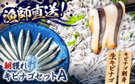 【漁師直送】きびなごセットA（キビナゴのお刺身＆生キビナゴ） 五島市/Sun Sea Go Company [PGL005]