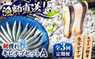 【全3回定期便】きびなごセットA（キビナゴのお刺身＆生キビナゴ） 五島市/Sun Sea Go Company [PGL006]