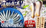【全10回定期便】きびなごセットA（キビナゴのお刺身＆生キビナゴ） 五島市/Sun Sea Go Company [PGL008]