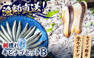 【漁師直送】きびなごセットB（キビナゴのお刺身＆生キビナゴ） 五島市/Sun Sea Go Company [PGL009]