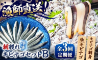 【全3回定期便】きびなごセットB（キビナゴのお刺身＆生キビナゴ） 五島市/Sun Sea Go Company [PGL010]