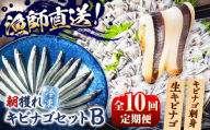 【全10回定期便】きびなごセットB（キビナゴのお刺身＆生キビナゴ） 五島市/Sun Sea Go Company [PGL012]