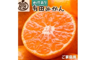【先行予約】家庭用 有田みかん サイズ混合(2S～2L) 1kg+250g  ※11月より発送(完熟)【わけあり・訳あり】【光センサー選果】※北海道・沖縄・離島配送不可 / みかん ミカン 和歌山 柑橘 フルーツ 有田 有田みかん 【ikd210】