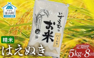 金山町産はえぬき 定期便 5kg×8回（40kg）米 お米 白米 ご飯 精米 ブランド米 送料無料 東北 山形 金山町 F4B-0615